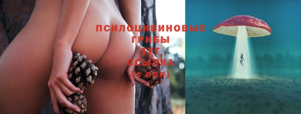 метамфетамин Гусиноозёрск