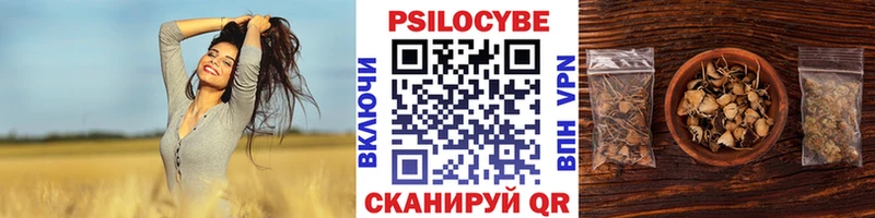Галлюциногенные грибы Magic Shrooms  Знаменск 